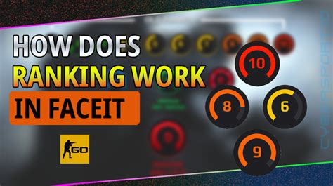 faceit lookup.